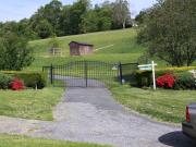 Pannonia Arabians Farm