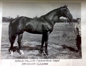 Árpád