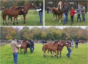 Fotók: Kovács-Mesterházy Janka és Rózsás Richárd