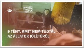 Az állatok jólétéről